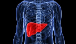 steatoepatite non alcolica accumulo di lipidi nel fegato