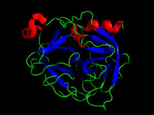 tripsina enzimi proteolitici